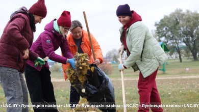 Республиканский субботник: лунинчане активно занимаются наведением порядка в райцентре