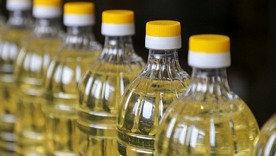 В Беларуси появится нерафинированное рапсовое масло