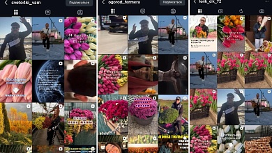 Афера на тюльпанах! Мошенники из Пинска обманули десятки людей на сотни тысяч рублей! 