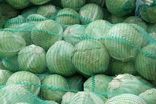 Нарушения законодательства о ценах выявили у фермерского хозяйства в Брестской области