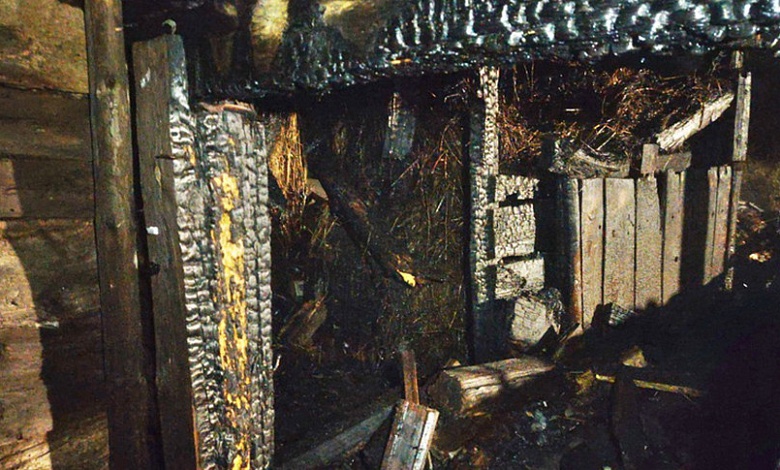 Шестилетний мальчик в Лунинецком районе играл со спичками и сжег хозпостройку