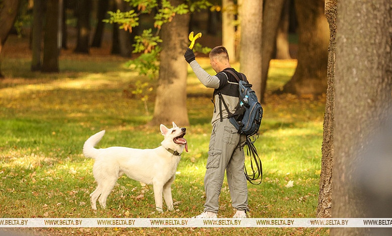 МЖКХ предлагает обсудить регулирование вопросов в области обращения с животными 
