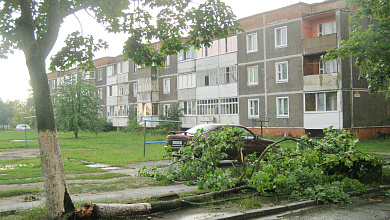 Последствия урагана в Микашевичах