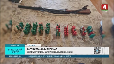 Внушительный арсенал обнаружен у пенсионера из Брестской области