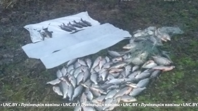 Сети и капканы. Браконьеры заработали уголовные дела в Лунинецком районе 