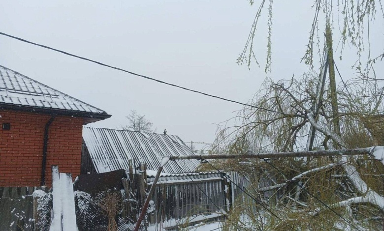 По всей Брестской области энергетики восстанавливают электроснабжение