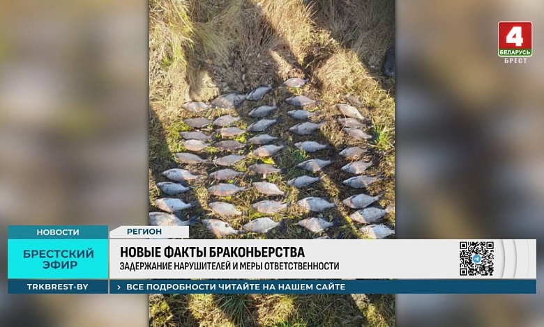 Браконьеры разбушевались в Брестской области