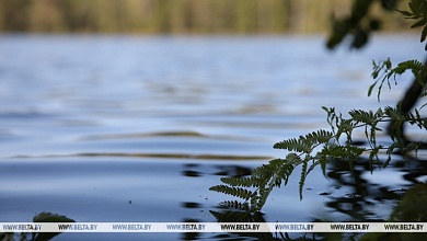Переданы под охрану места обитания трех видов краснокнижных птиц в Столинском районе 