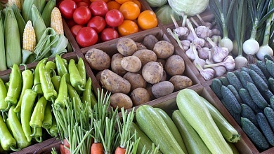 Какую сельхозпродукцию и по каким ценам принимают у населения, рассказали в Белкоопсоюзе