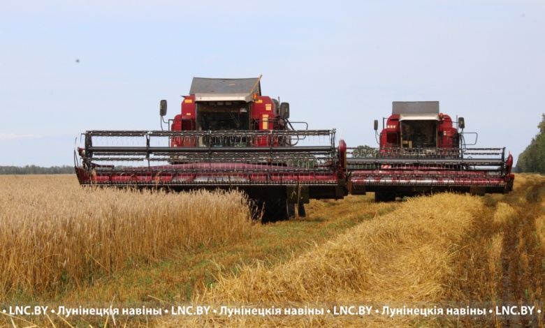Зерноуборочная кампания на Лунинетчине идет активными темпами