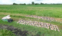 Браконьеры наловили сетями рыбы на почти 20 тыс. руб.. Возбуждено уголовное дело  