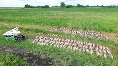 Браконьеры наловили сетями рыбы на почти 20 тыс. руб.. Возбуждено уголовное дело  