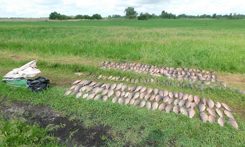 Браконьеры наловили сетями рыбы на почти 20 тыс. руб.. Возбуждено уголовное дело  