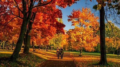 Большие выходные ждут белорусов в ноябре