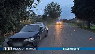 В Брестской области под колеса автомобиля попал 7-летний ребенок