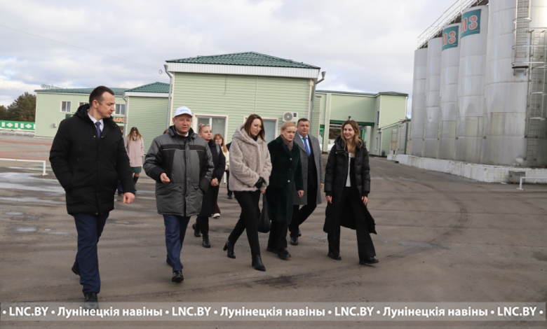 Приоритет в дорожной карте по развитию Припятского Полесья