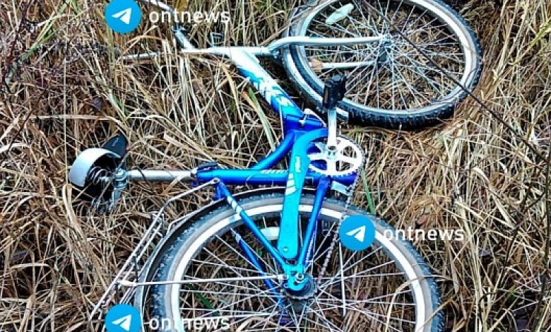 Найден велосипед. Авиацию МЧС привлекли для поиска мальчика пропавшего в Березинском районе