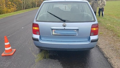 Под колёса авто выбежала косуля в Ляховичском районе