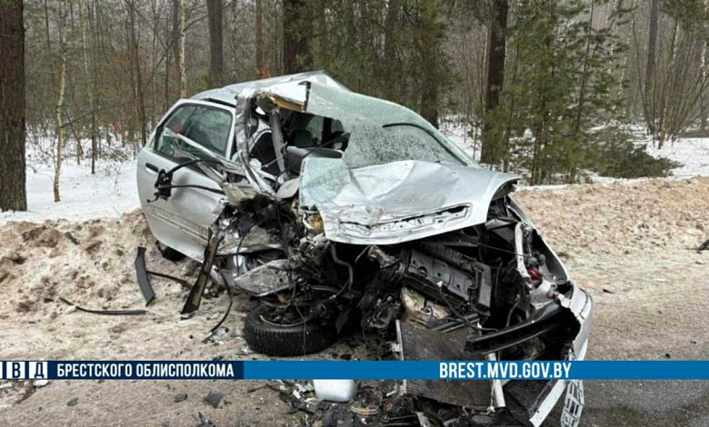 Лобовой удар! Жесткое ДТП произошло в Брестской области
