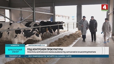 Одни воруют коров, другие проявляют халатность. Аномалии в Брестской области 