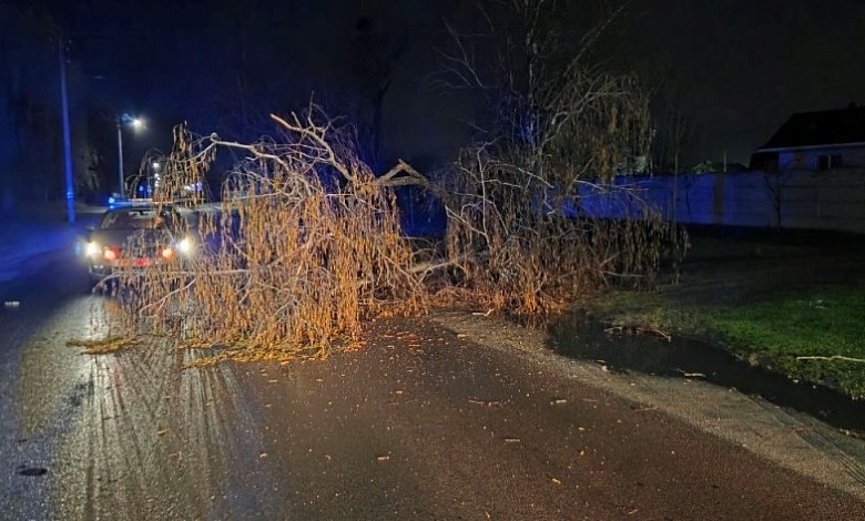Спасатели ликвидировали последствия непогоды в Брестской области
