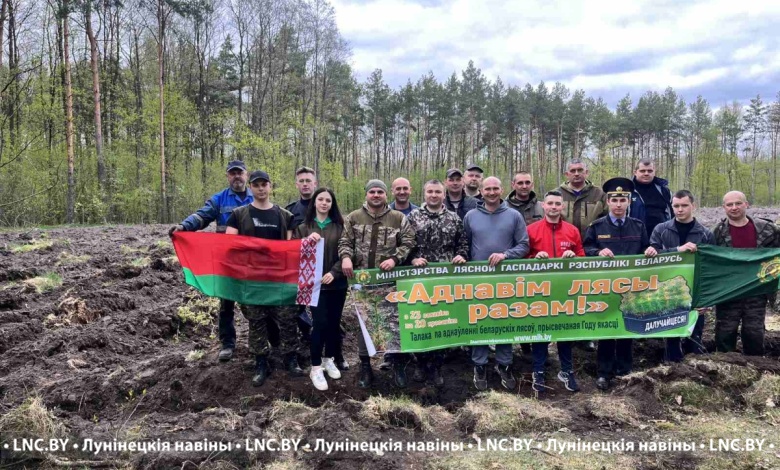 Лунинецкие милиционеры посадили 3000 саженцев сосны