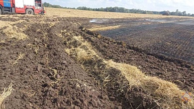 35 гектаров ярового ячменя спасли работники МЧС и хозяйства на пожаре в Брестской области