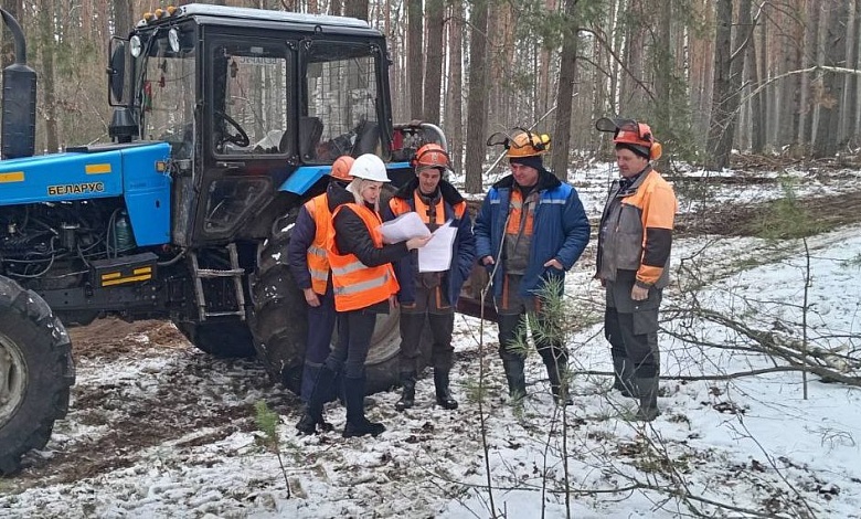 Рейды проводятся на разработке буреломов. Участвуют работники из Лунинецкого района 