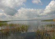 Всего 760 гектаров! В аренду предлагают водохранилище Велута Лунинецкого района