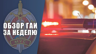 Обзор ГАИ за неделю: что произошло на дорогах в Брестской области