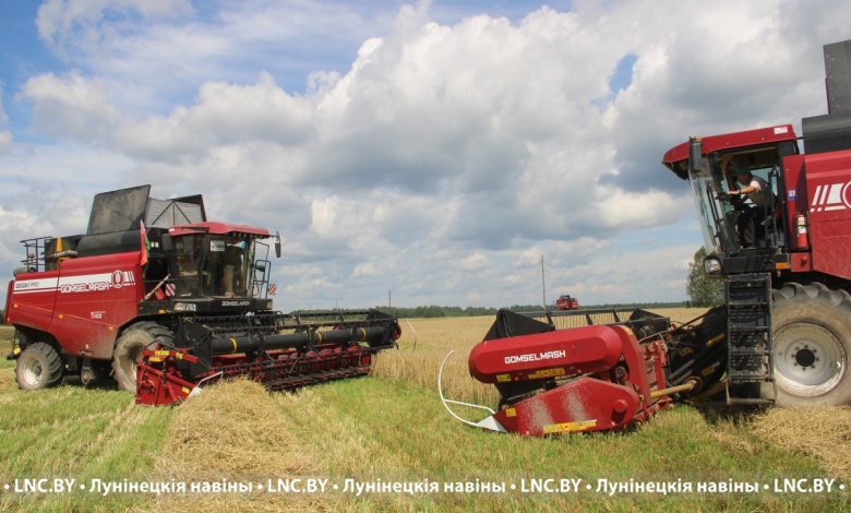 Жатва-2025 в Лунинецком районе: результаты передовиков растут
