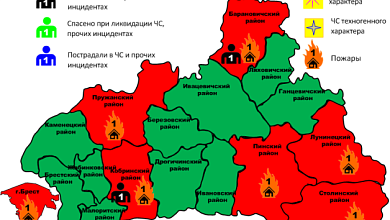 За сутки погибли два человека при пожарах в Брестской области
