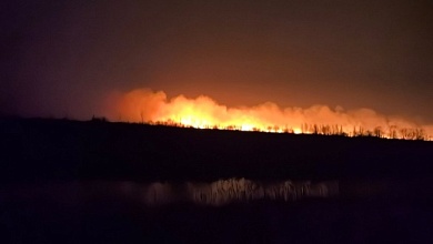 Пожар произошёл на 8 га Республиканского ландшафтного заказника в Брестской области