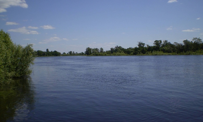 Большие штрафы предусмотрены за загрязнение леса, поверхностных и подземных вод