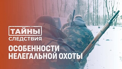 Браконьерство под видом хобби: история нелегальной охоты
