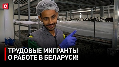 Приехали в Беларусь ЗАРАБОТАТЬ! Трудовые мигранты о жилье, работе и зарплатах