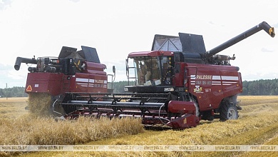 На Брестчине началась уборочная кампания