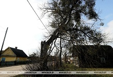 В Беларуси за одну базовую величину продано более половины пустующих домов