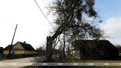 В Беларуси за одну базовую величину продано более половины пустующих домов