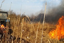 В Брестской области зафиксировано уже 53 факта загораний в природных экосистемах