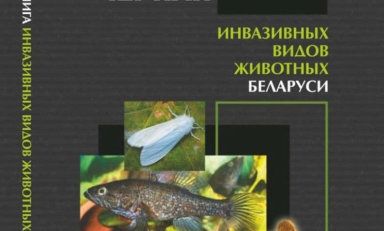 Кого внесли в «Черную книгу» Республики Беларуси? 