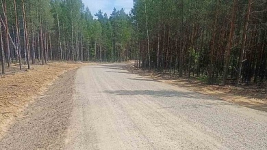 Строительство лесохозяйственных дорог в Брестской области. В Лунинецком лесхозе будет введено более 10,6 км 