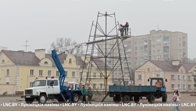 В Лунинце начали установку главной новогодней ёлки района