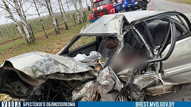 Водитель врезался в дерево и погиб в Столинском районе