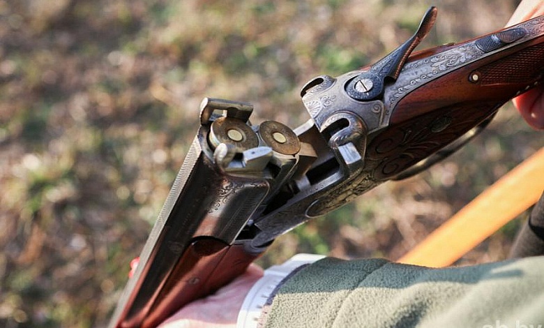 Браконьер убил самку лося с эмбрионом. С него взыскали более 50 тыс. руб.  