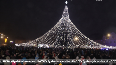 О безопасности в новогодние праздники напомнили в милиции