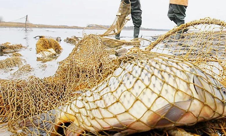 Какие нарушения природоохранного законодательства фиксировали в Лунинецком районе