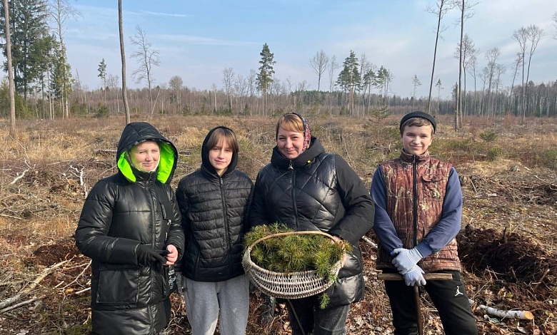 В Лунинецком районе продолжается республиканская акция «Дай лесу новае жыцце!»