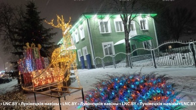 Лунинецкий лесхоз и Новоселковское лесничество - лучшие в Брестской области