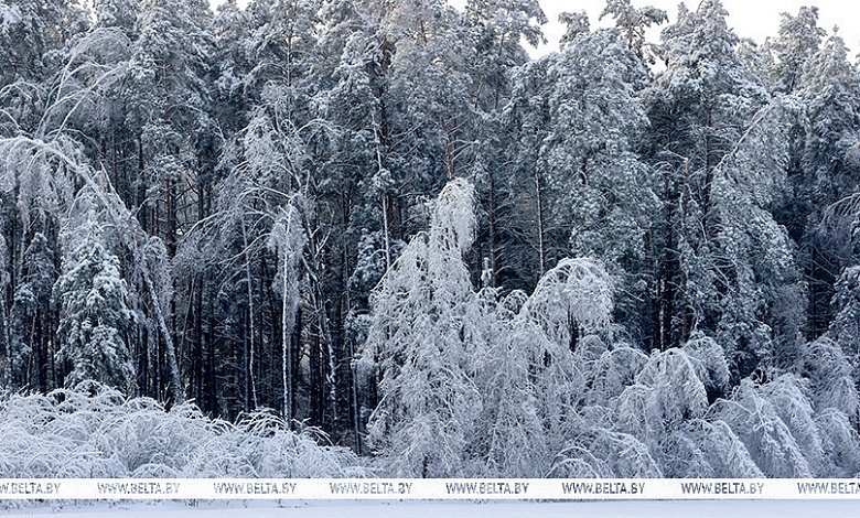 Одевайтесь теплее, земляки! Грядут морозы! 